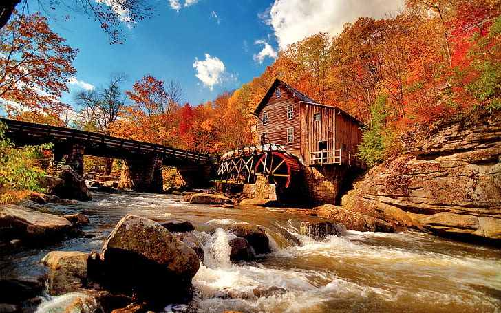 Autumn Forest Landscape, brown wooden house, water mill, river, bridge, cottage, HD wallpaper