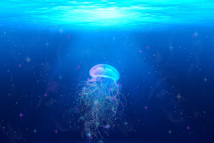 blue and pink jellyfish, jellyfish, underwater world, swim, tentacles, HD wallpaper