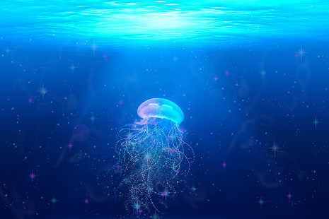 ubur-ubur biru dan merah muda, ubur-ubur, dunia bawah laut, berenang, tentakel, Wallpaper HD HD wallpaper