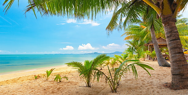 beautiful, landscape, nature, palm, sand, sea, sky, trees, tropical, HD wallpaper HD wallpaper