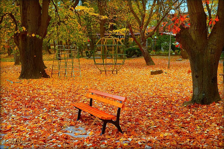 Autumn, Bench, Park, Fall, Foliage, Colors, HD wallpaper