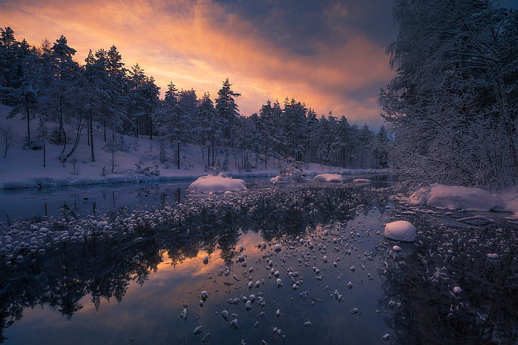 musim dingin, hutan, sungai, Norwegia, Ringerike, Ole Henrik Skjelstad, Wallpaper HD