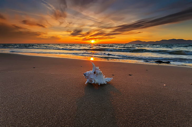 Treasures of the sea, sunset, Sunset, surf, shell, beach, treasures of the sea, HD wallpaper