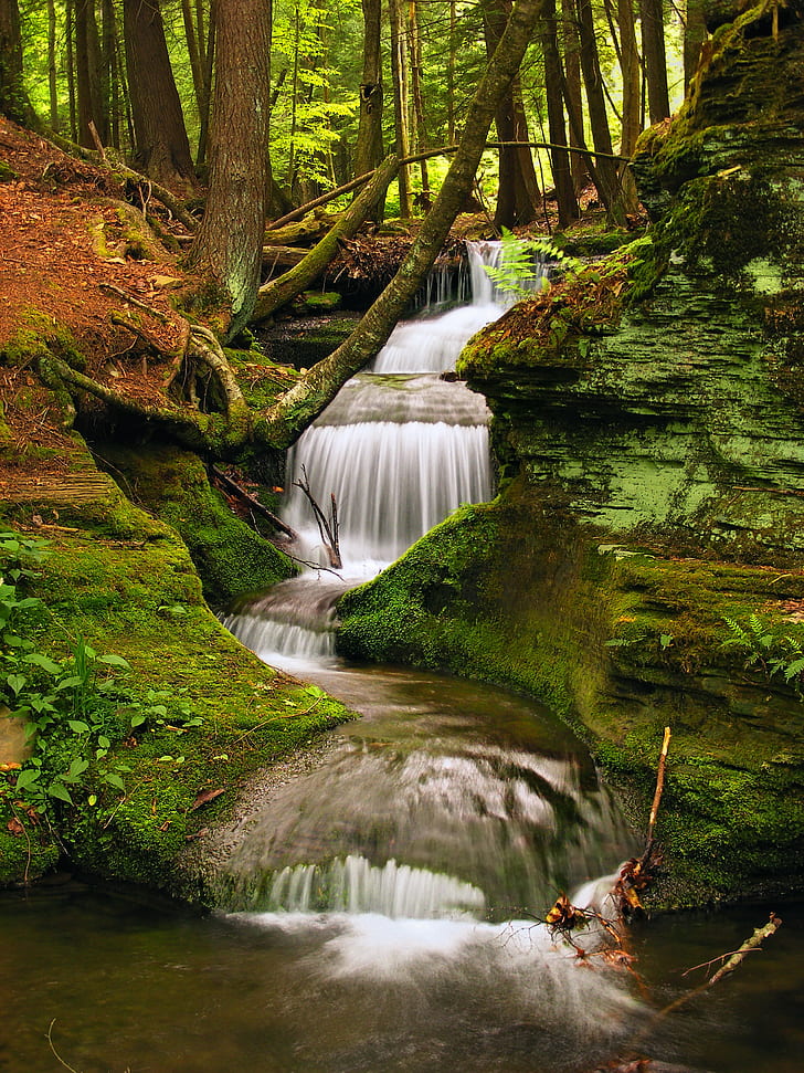 timelapse photography of clear waterfalls surrounded by green moss and green leaf trees, timelapse photography, clear, waterfalls, green leaf, trees, Pennsylvania, Clinton County, Potter County, Susquehannock State Forest, Forrest H. Duttlinger Natural Area, Beech Bottom, Hollow, Trail, Run, Wilds, hiking, creek, stream, waterfall, forest, coniferous, moss, lichens, ferns, rocks, summer, creative commons, nature, river, tree, tropical Rainforest, freshness, water, leaf, beauty In Nature, scenics, outdoors, green Color, landscape, rock - Object, falling, purity, plant, HD wallpaper