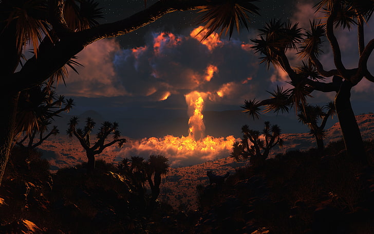 Explosion in der Nähe von Bäumen, die Explosion, die Atombombe, HD-Hintergrundbild