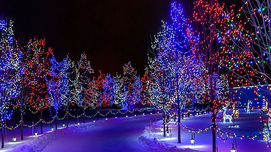 christmas, xmas, winter, snow, christmas lights, light, christmas decoration, night, lighting, christmas tree, decor, HD wallpaper HD wallpaper