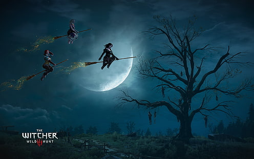 The Witcher Wild Hunt 바탕 화면, The Witcher 3 : Wild Hunt, 삽화, 비디오 게임, Triss Merigold, Vengerberg의 Yennefer, Keira Metz, Yennefer, HD 배경 화면 HD wallpaper