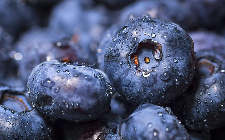 Blueberry close-up, tetesan air, banyak blueberry, Blueberry, Air, Tetes, Wallpaper HD