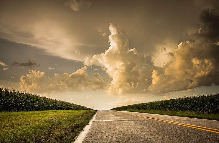 Road, grey road, Amerika Serikat, Nebraska, Summer, Road, Corn, Roadside, Wallpaper HD