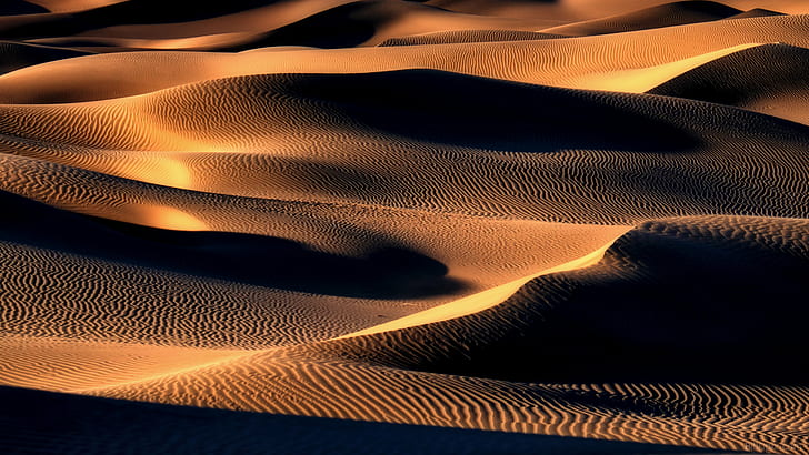 dune di sabbia schermo afferrare, Mesquite, duna di sabbia, ombre, schermo, afferrare, duna di sabbia, deserto, parco nazionale della valle della morte, oro, modello, sfondi, astratto, onda modello, Sfondo HD