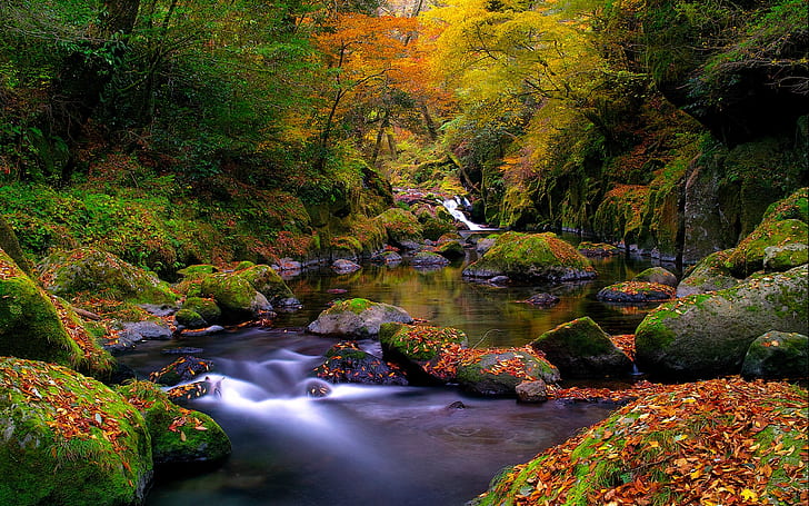 Lovely Autumn, park, river, stones, cascade, waterfall, trees, HD wallpaper
