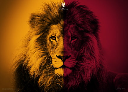 Fútbol, ​​Galatasaray S.K., emblema, león, logotipo, Fondo de pantalla HD HD wallpaper