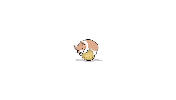Corgi Hugging a Cantaloupe  from the Nickelodeon artist's AMA a while back, HD wallpaper