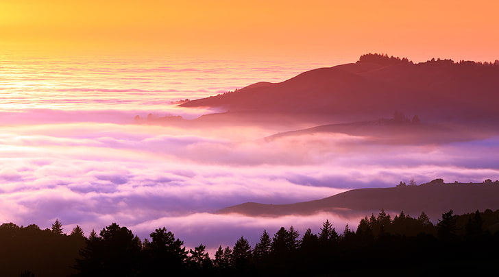 Nebelige Hügel, Berg und Wolkenmeer Luftaufnahme, Natur, Berge, Landschaft, Wald, Nebelig, Hügel, Nebel, Panoramablick, HD-Hintergrundbild