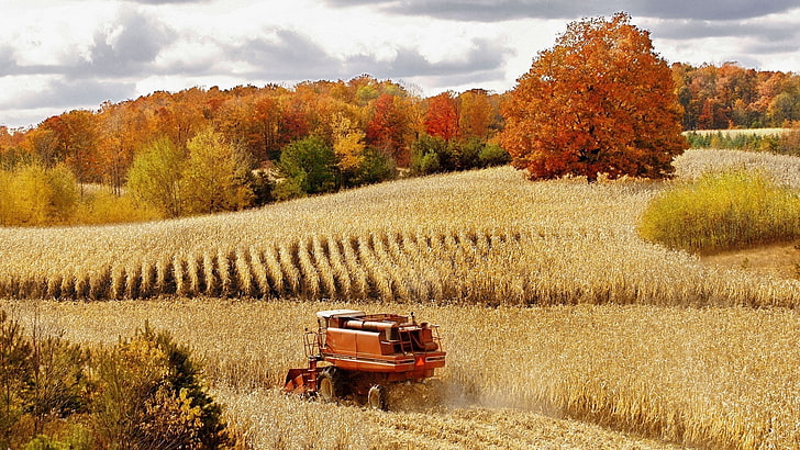 รถแทรกเตอร์สีน้ำตาลในภาพประกอบฟาร์มฟิลด์รวมพืชเกษตรทำความสะอาด, วอลล์เปเปอร์ HD