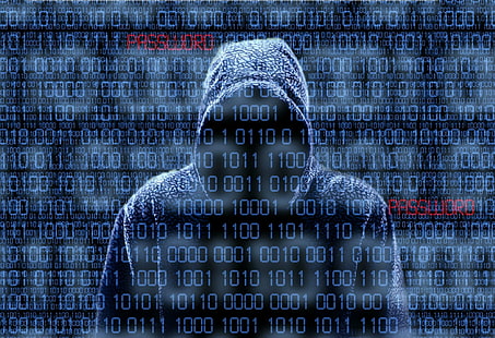 anarchy, computer, hacker, hacking, internet, sadic, virus, HD wallpaper HD wallpaper