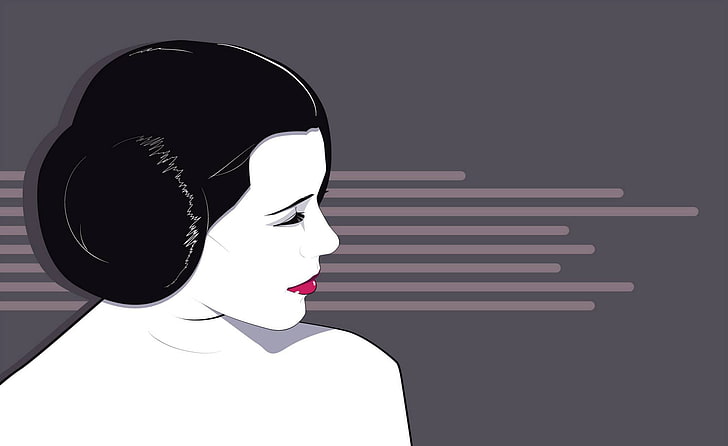 geisha illustration, artwork, Star Wars, Princess Leia, Craig Drake, fan art, HD wallpaper