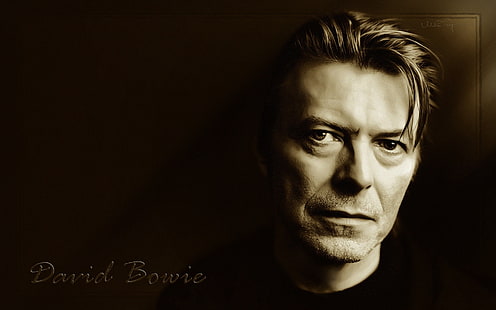 David Bowie, david bowie, look, hair, bristle, eyes, HD wallpaper HD wallpaper
