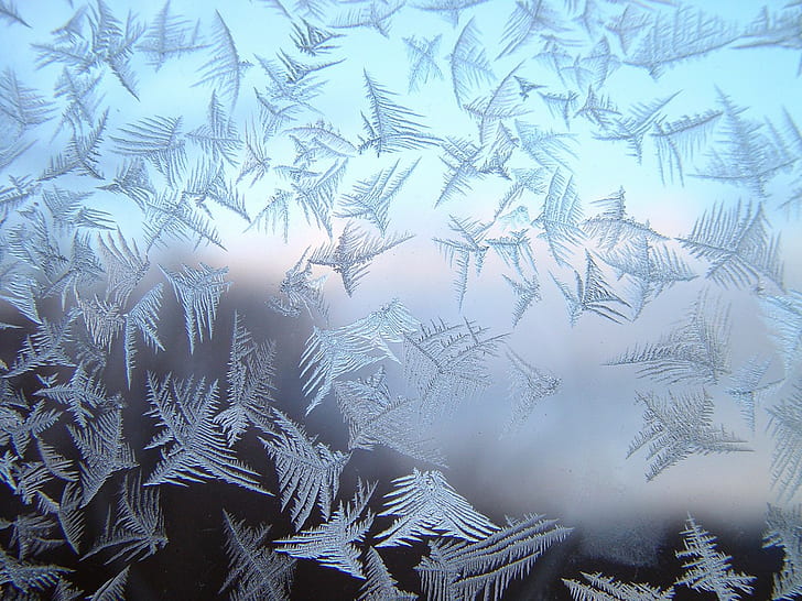 hielo, arte digital, copos de nieve, escarcha, Fondo de pantalla HD