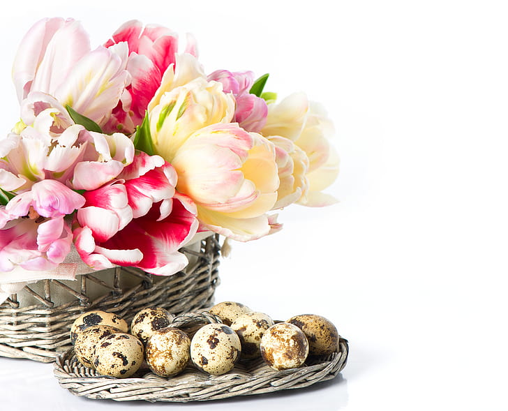 flowers, eggs, Easter, tulips, basket, HD wallpaper