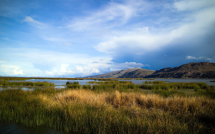 Южная Америка Озеро Титикака пейзаж водно-болотных угодий, HD обои