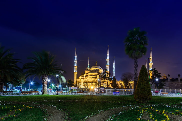 Masjid Biru, malam, kota, pohon-pohon palem, foto, halaman rumput, Katedral, candi, masjid, biara, Turki, Istanbul, Wallpaper HD