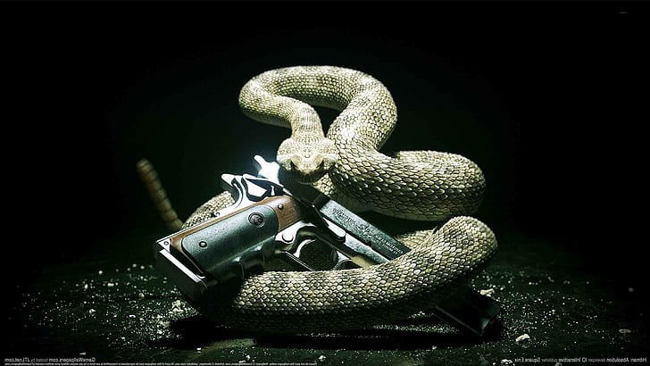 hitman absolution snake pc gaming gun, HD wallpaper