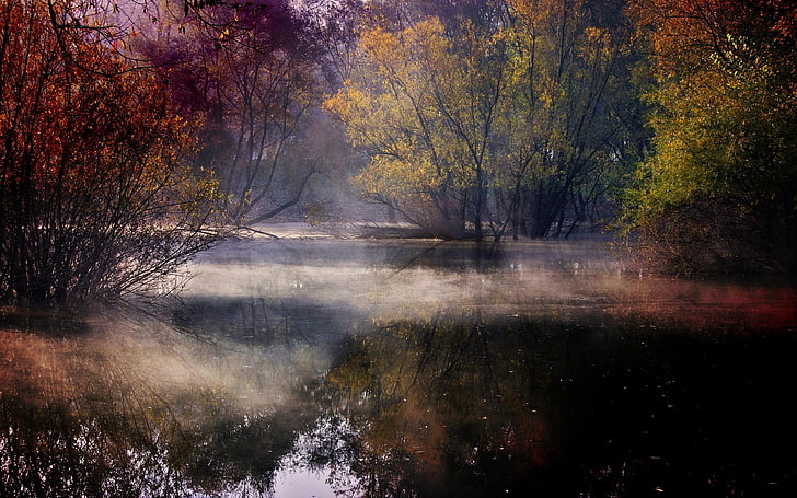 зеленые лиственные деревья, река между деревьями в дневное время, пейзаж, природа, озеро, туман, лес, красочные, деревья, кустарники, вода, отражение, осень, Хорватия, HD обои