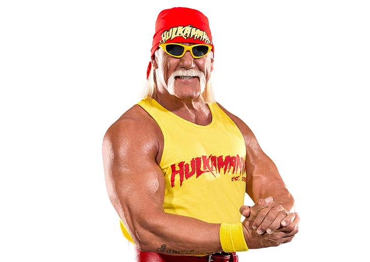 mustache, pose, glasses, Hulk Hogan, actor, wrestler, biceps, showman, Terry Gene Bollea, HD wallpaper