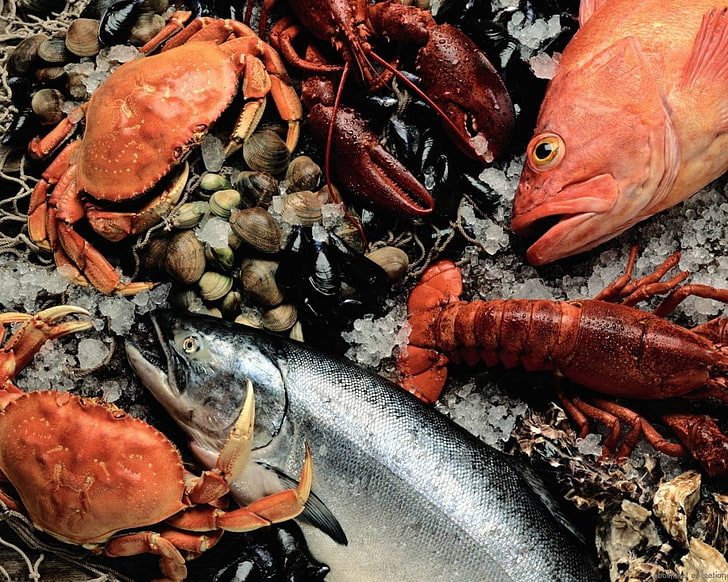 dua kepiting oranye dan dua lobster, makanan laut, segar, ikan, kepiting, lobster, kerang, Wallpaper HD
