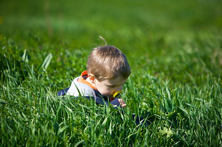 toddler wearing white and blue shirt sitting near green grass, Smell, first, taste, second, toddler, white, blue, shirt, green grass, airplane, remote  control, rc, plane, 3d, hover, runway, yellow, checker, grass  green, dandelion, kid, burlington, flyers, cc, cc3, license, creativecommons, child, grass, boys, outdoors, cute, small, childhood, summer, caucasian Ethnicity, fun, people, nature, playing, one Person, green Color, HD wallpaper