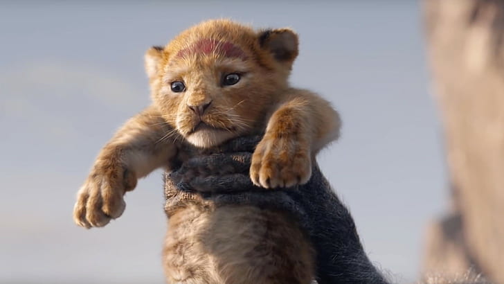 The Lion King, HD, วอลล์เปเปอร์ HD