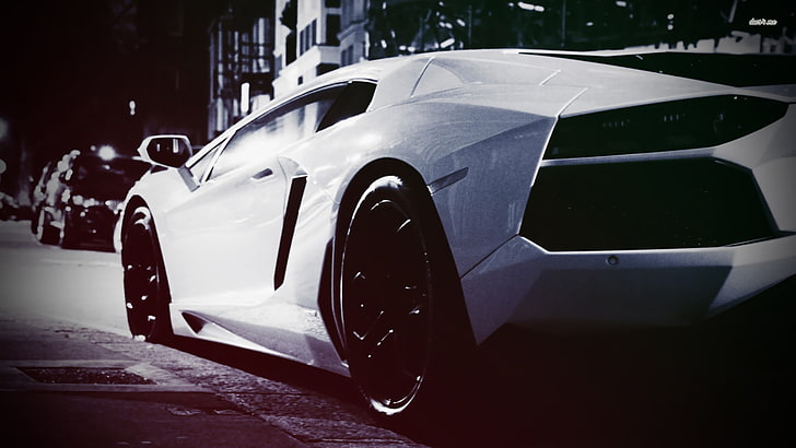 белая спортивная машина, Lamborghini, машина, HD обои
