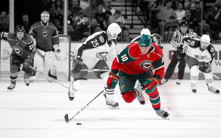 red and green jersey shirt, the game, washer, NHL, players stick, Minnesota Wild, NHL ice hockey, HD wallpaper