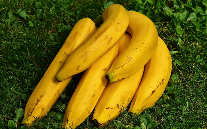 banany, tła owocowe, dojrzałe, trawa, Pobierz 3840x2400 banany, Tapety HD
