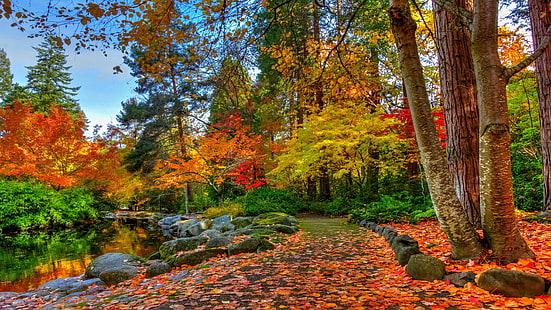warna musim gugur, daun musim gugur, sinar matahari musim gugur, lanskap musim gugur, jalan, kolam, pohon, musim gugur, alam berwarna-warni, berwarna-warni, taman, Wallpaper HD HD wallpaper