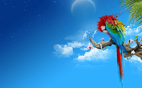 burung macaw Scarlet kuning-dan-biru, bayan, warna-warni, bulu, benang, duduk, Wallpaper HD HD wallpaper