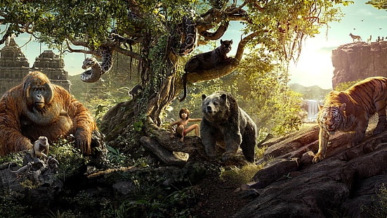 El libro de la selva, Las mejores películas, Mowgli, Bagheera, Fondo de pantalla HD HD wallpaper