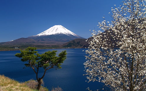 небо, гора Фудзи, море, деревья, цветы, пейзаж, ретушь, Япония, весна, HD обои HD wallpaper
