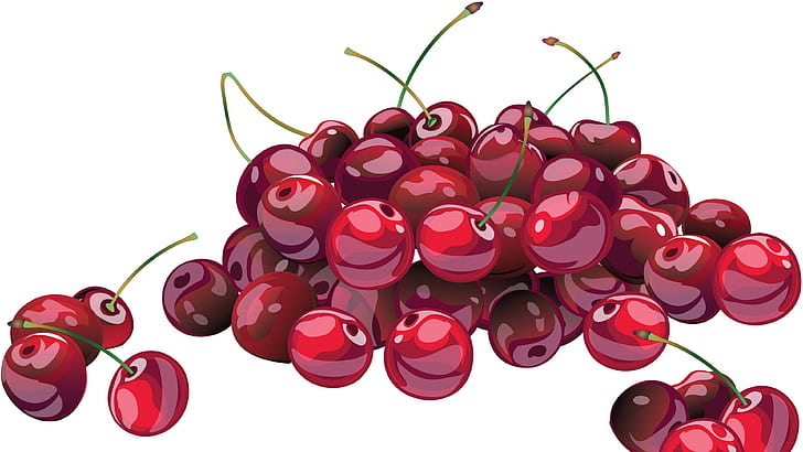 fruit, cherry, illustration, drawing, sour cherry, HD wallpaper