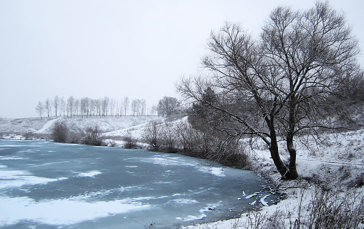 Ryssland, vinter, snö, träd, flod, is, HD tapet