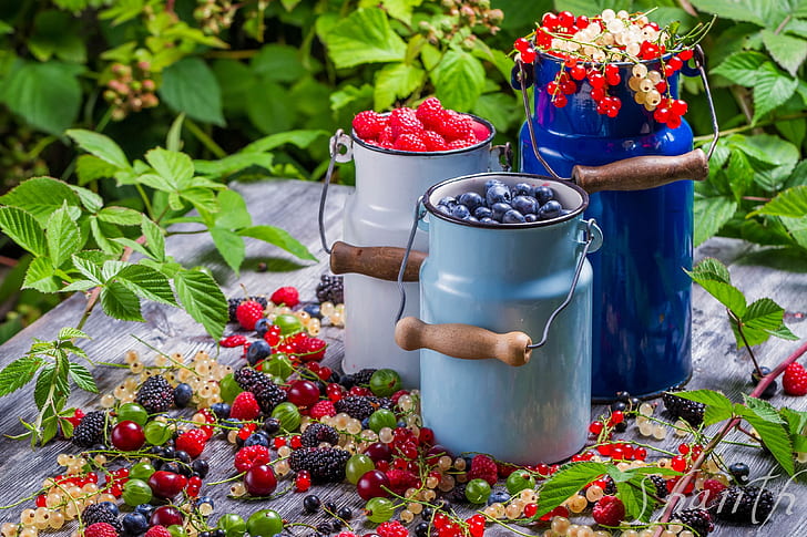 berries, blackberries, cans, currants, golubmka, gooseberries, raspberries, vitamins, HD wallpaper