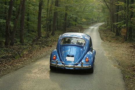 кола, класически автомобил, шофиране, гора, път, пътуване, дървета, превозно средство, Volkswagen, Volkswagen Beetle, изображения в публично достояние, HD тапет HD wallpaper
