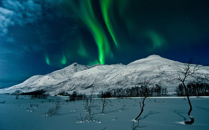 aurora borealis tromso norak-pemandangan HD Wallpaper, fenomena aurora hijau, Wallpaper HD