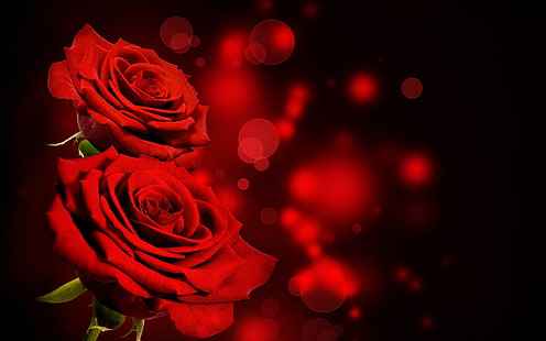 têxtil floral vermelho e preto, flores, rosa, flores vermelhas, bokeh, plantas, HD papel de parede HD wallpaper