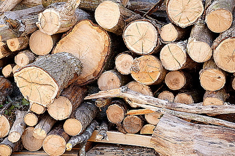 écorce, haché, bois haché, coupe, bois de chauffage, bûches, bois d'œuvre, pile, pile, bois d'œuvre, écorce d'arbre, troncs d'arbre, bois, bois, bûches de bois, tas de bois, Fond d'écran HD HD wallpaper