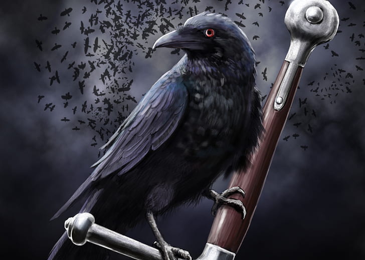 crow, raven, dark theme, sword, Others, HD wallpaper