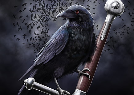 crow, raven, dark theme, sword, Others, HD wallpaper HD wallpaper