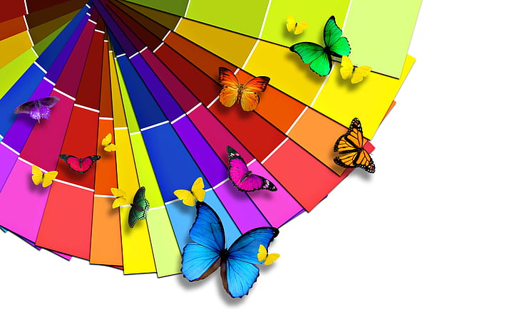 カラフルな蝶HD、カラフル、クリエイティブ、グラフィックス、クリエイティブとグラフィックス、蝶、 HDデスクトップの壁紙