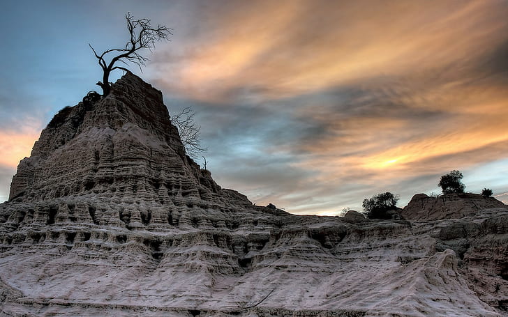 Landschaft, Sandstein, tote Bäume, Felsformation, Natur, HDR, HD-Hintergrundbild